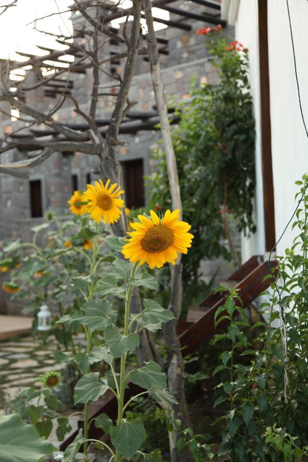 Akvaryum Hotel Bozcaada Exterior foto